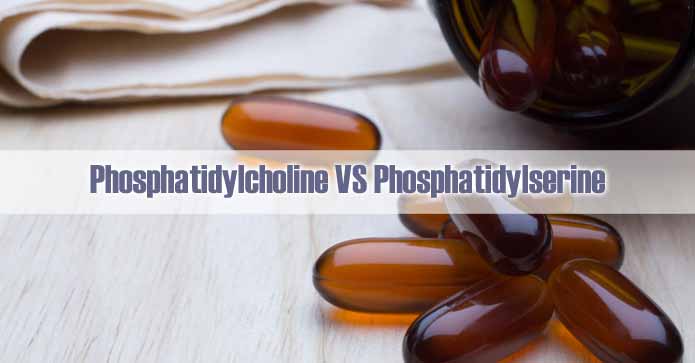 Difference Between Phosphatidylcholine And Phosphatidylserine