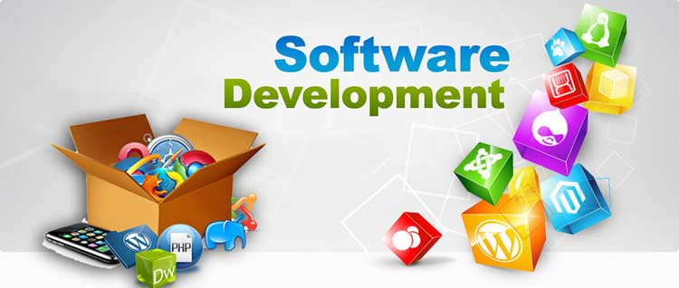 What are the Different roles in Software Development