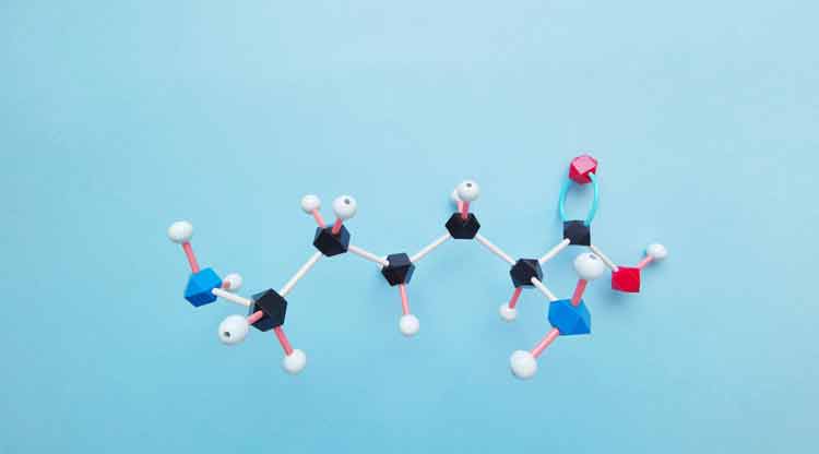 What are Research Peptides