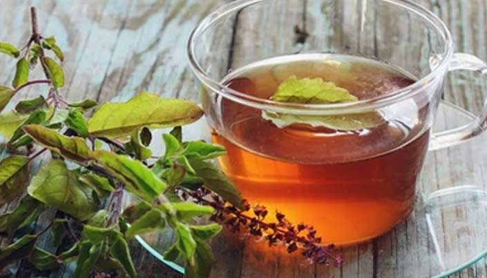 Why is Tulsi Tea Beneficial